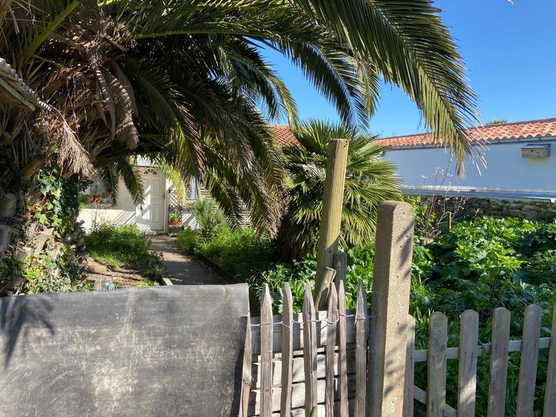 Local commercial - 685 m²