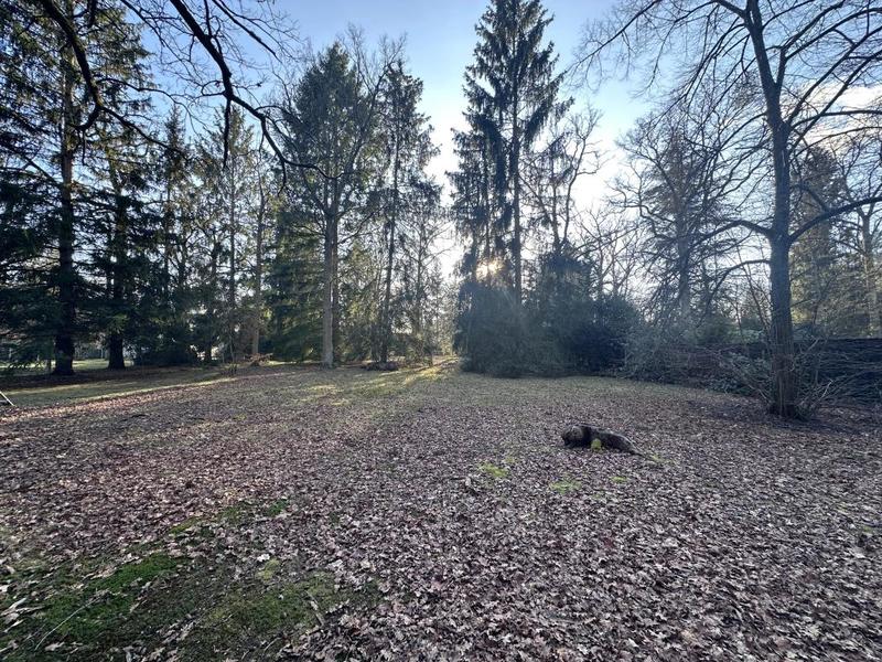 Terrain constructible - 6 157 m²