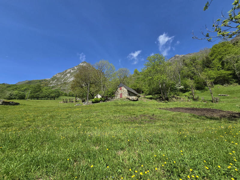 Maison - 223 m² - 8 pièces