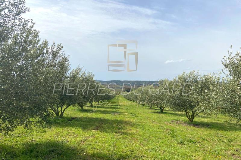 Terrain - 12 040 m²