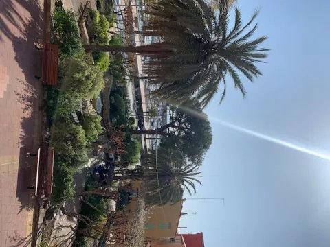 Appartement - 47 m² - 1 pièce