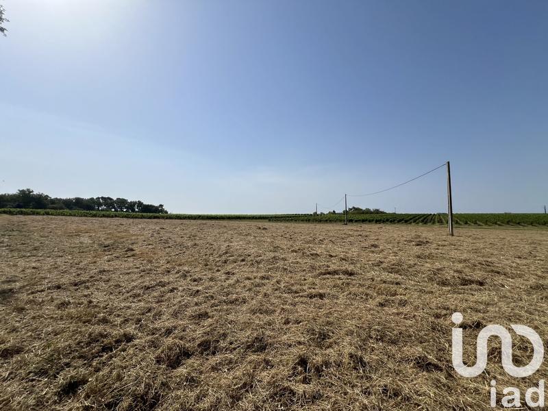 Terrain - 11 204 m²