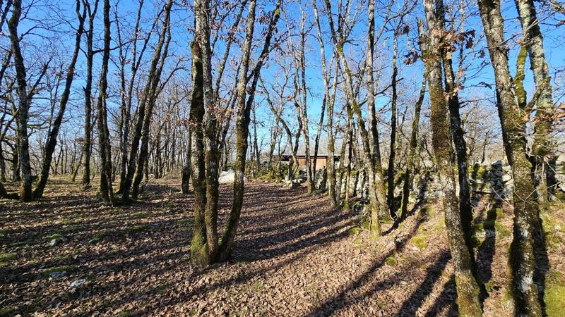 Terrain - 80 524 m²