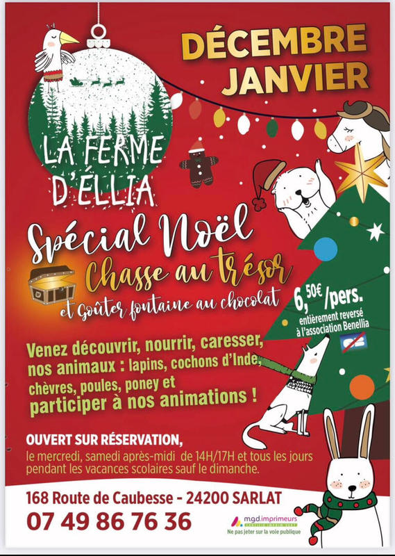 Animations de Noel à la Ferme d'Ellia