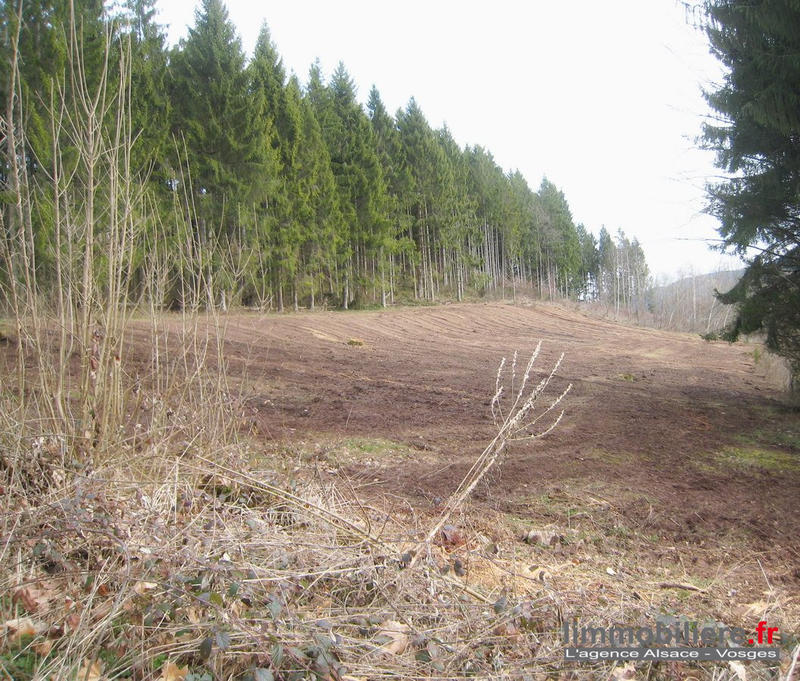 Terrain - 10 078 m²