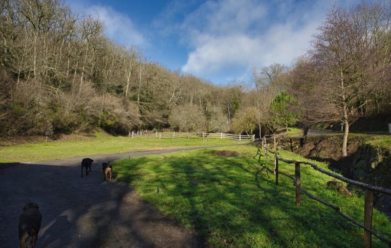 Maison - 447 m² - 16 pièces