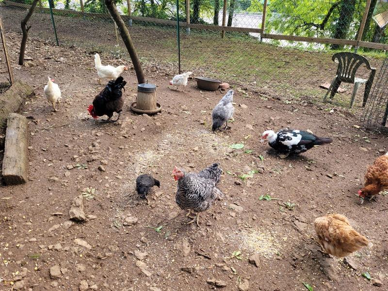 Propriété - 229 m² - 11 pièces