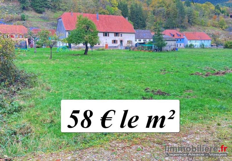 Terrain - 2 584 m²