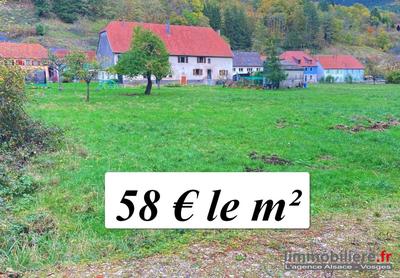 Terrain - 2 584 m²