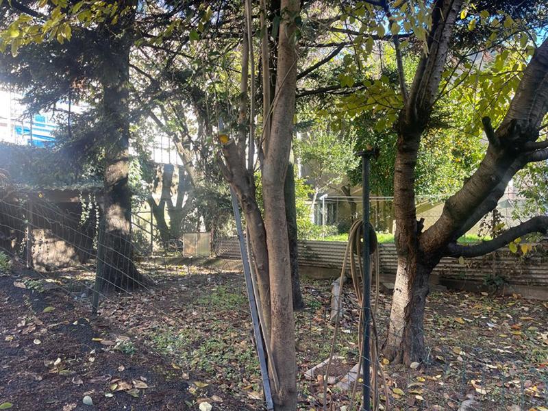 Maison - 65 m² - 3 pièces