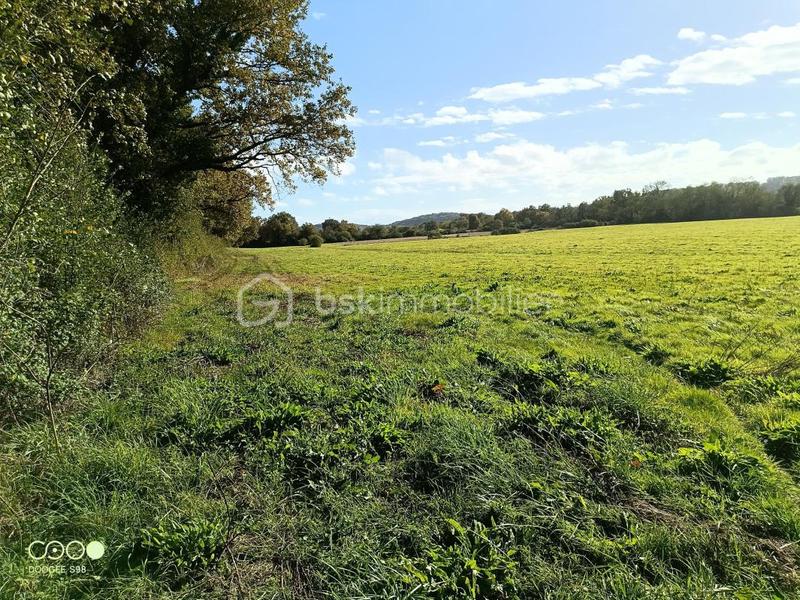Terrain agricole - 150 960 m²