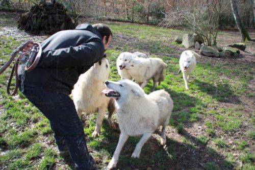 Parc Animalier de Pradina