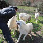 Parc Animalier de Pradina