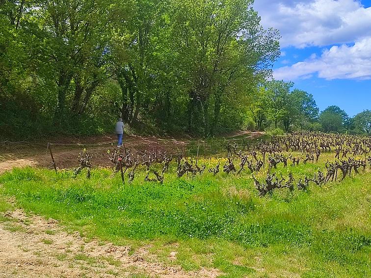 Terrain - 10 060 m²