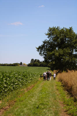 Randonnée à Gaillefontaine
