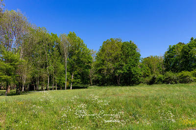 Terrain constructible - 1 711 m²