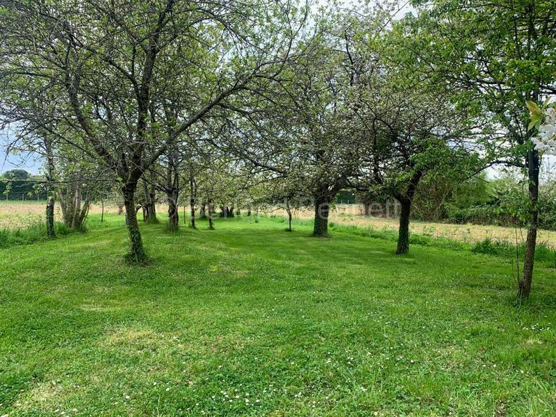 Maison en pierre - 222 m² - 8 pièces