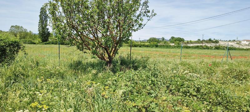 Villa - 195 m² - 6 pièces