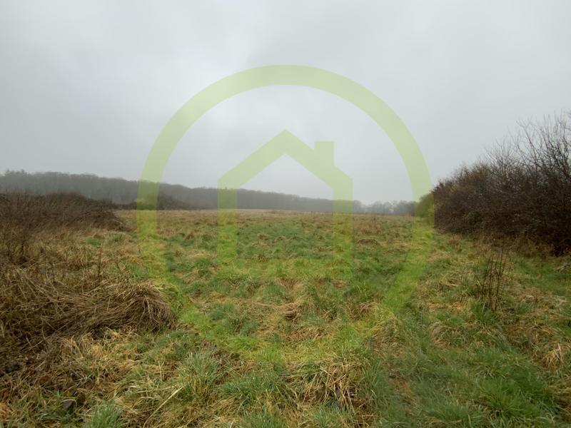 Terrain - 199 600 m²