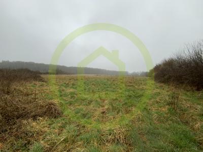 Terrain - 199 600 m²