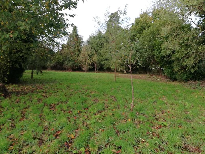 Terrain constructible - 800 m²