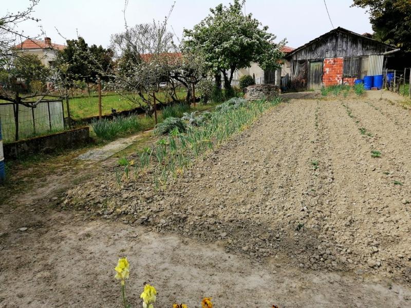 Maison - 20 m² - 1 pièce