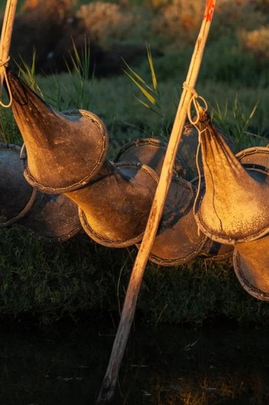 Découverte de la pêche aux anguilles sur l'étang du Vaccarès
