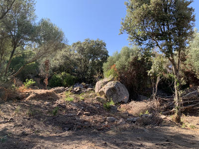 Villa - 85 m² - 4 pièces