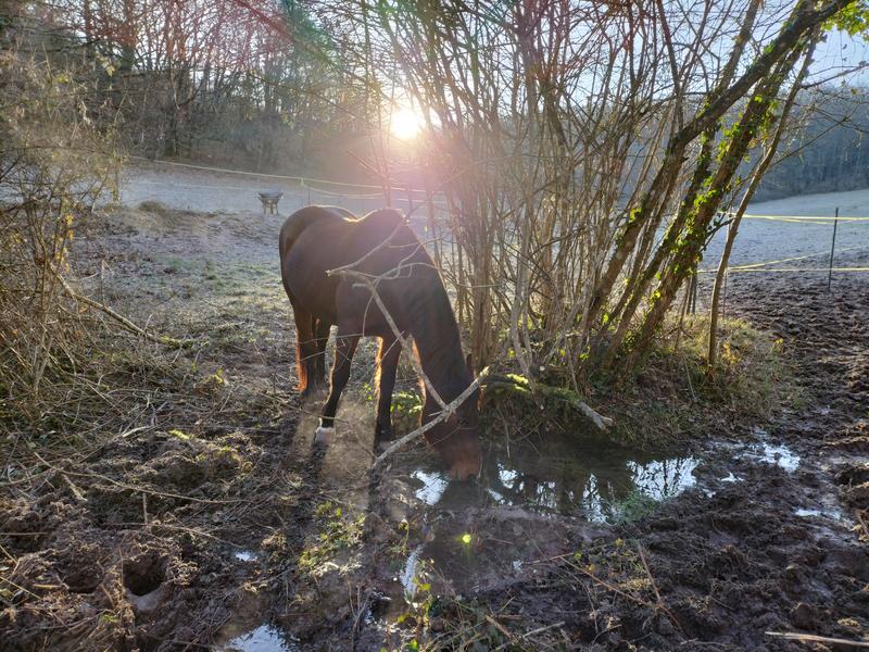 Tournon autour du Cheval