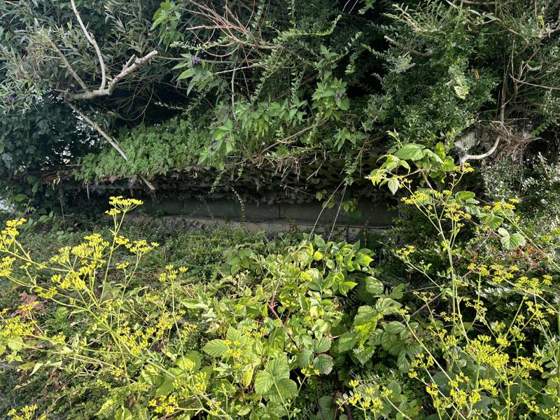 Terrain de loisirs - 4 844 m²