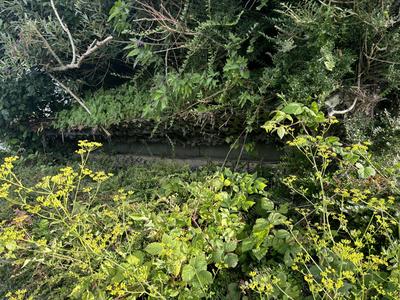 Terrain de loisirs - 4 844 m²