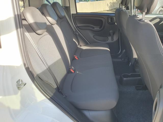 Fiat Panda My23 1.0 70 ch Hybride Bsg s/S Cross