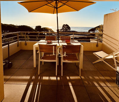 Appartement - 45 m² - 2 pièces