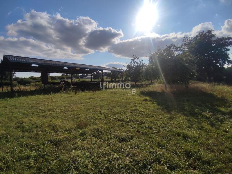 Maison en pierre - 75 m² - 4 pièces