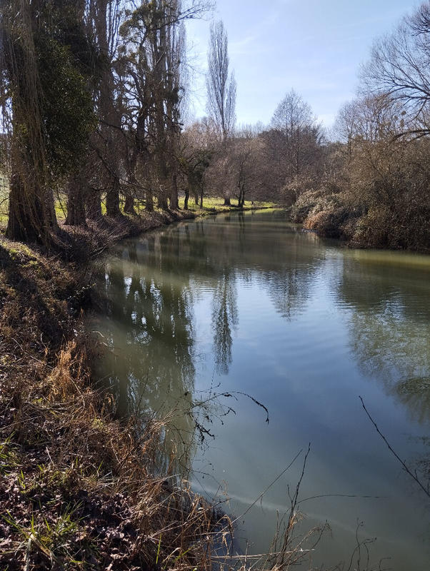 Maison - 178 m² - 7 pièces