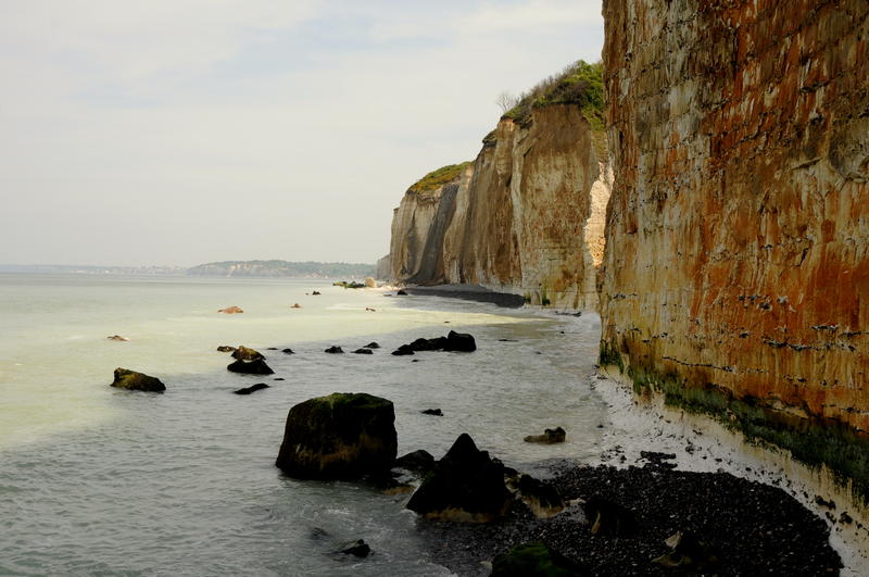 Randonnée - Découverte de la biodiversité