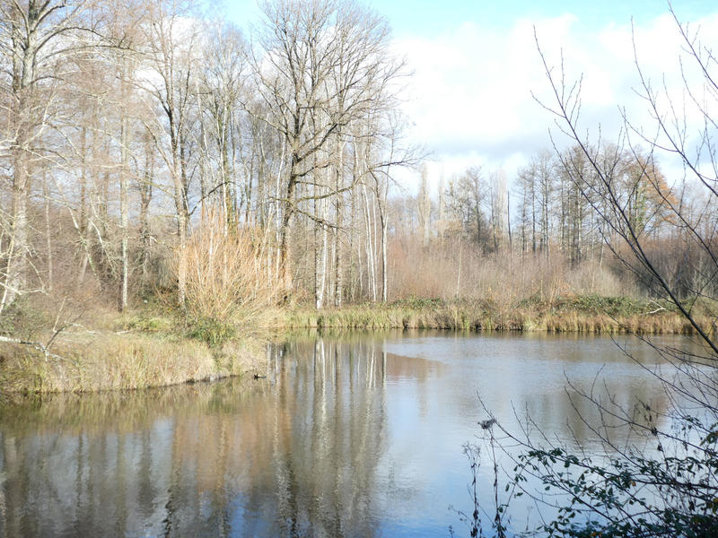 Maison - 138 m² - 5 pièces