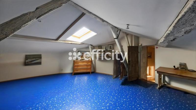 Maison en pierre - 441 m² - 13 pièces