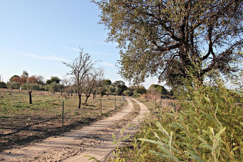 Maison - 227 m² - 6 pièces