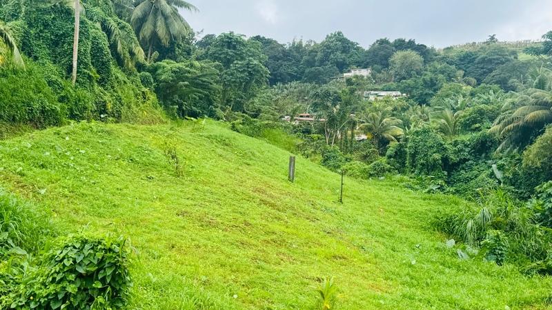 Terrain constructible - 765 m²