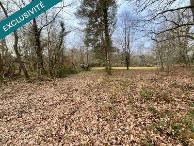 Terrain - 419 062 m²