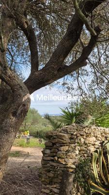 Propriété - 420 m²