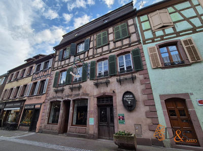 Maison ancienne - 530 m² - 15 pièces