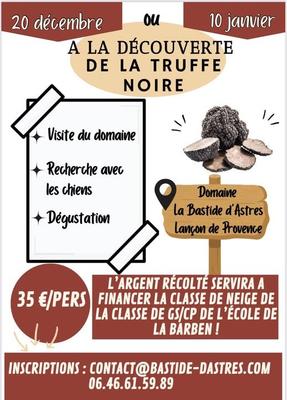 A la découverte de la truffe noire