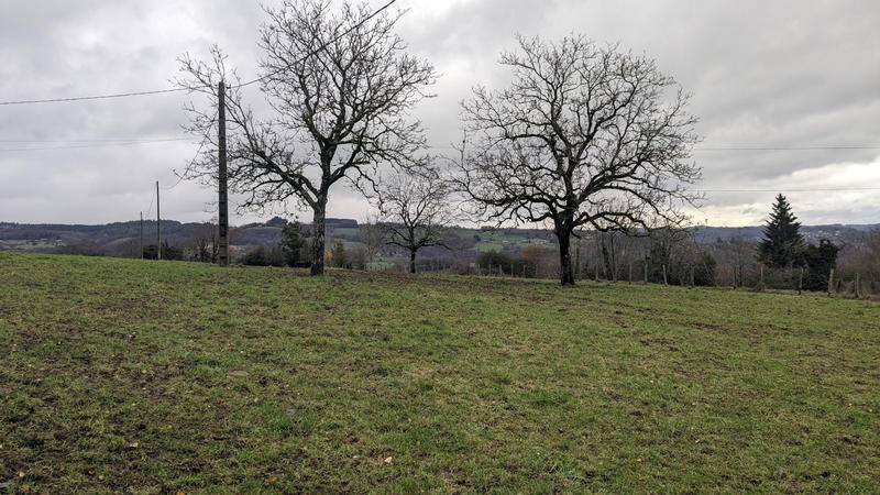 Terrain - 4 503 m²