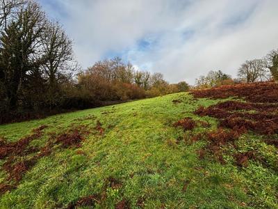 Terrain - 18 830 m²