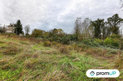 Terrain - 17 000 m²