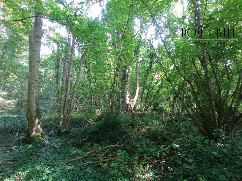 Terrain de loisirs - 4 800 m²