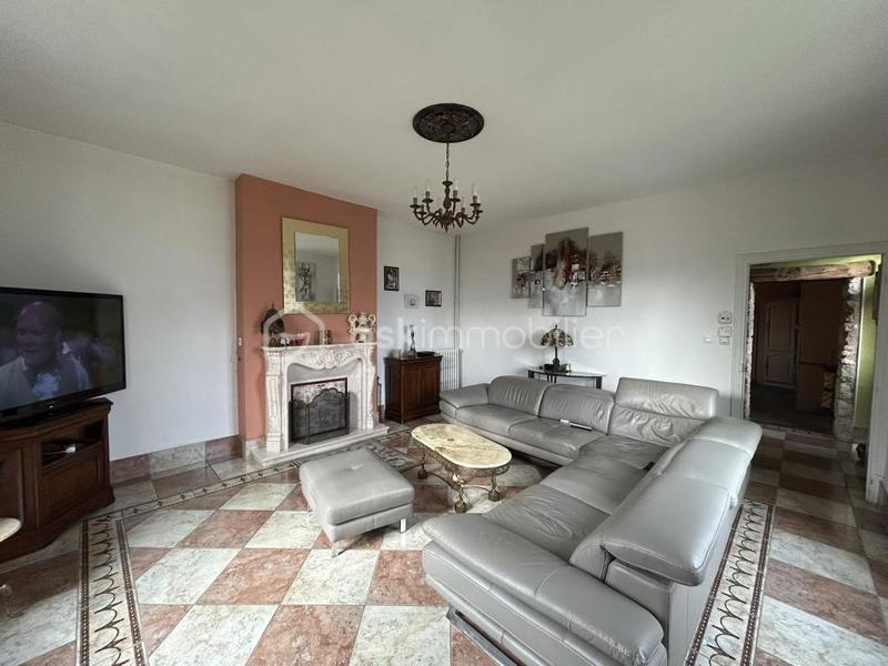 Château - 360 m² - 12 pièces