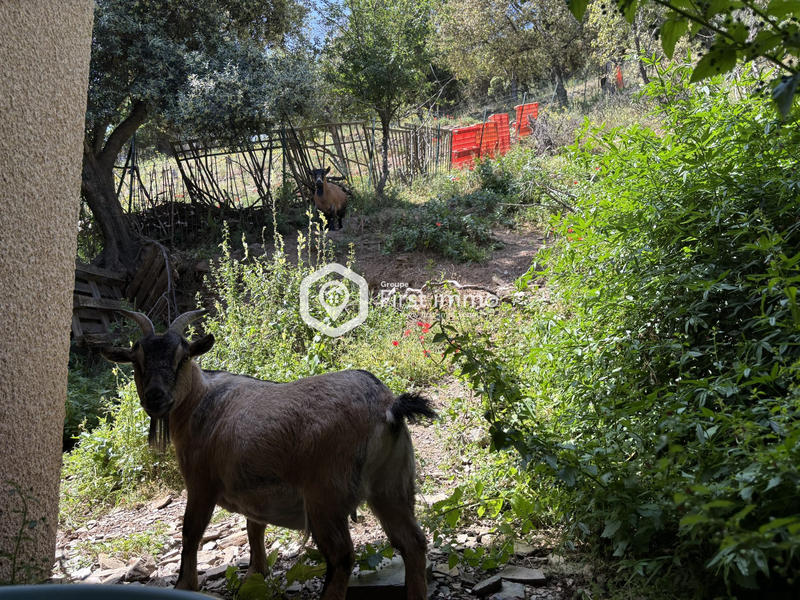 Mas - 95 m² - 4 pièces